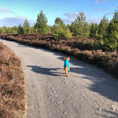 Stelvio Διαμέρισμα Aviemore Εξωτερικό φωτογραφία